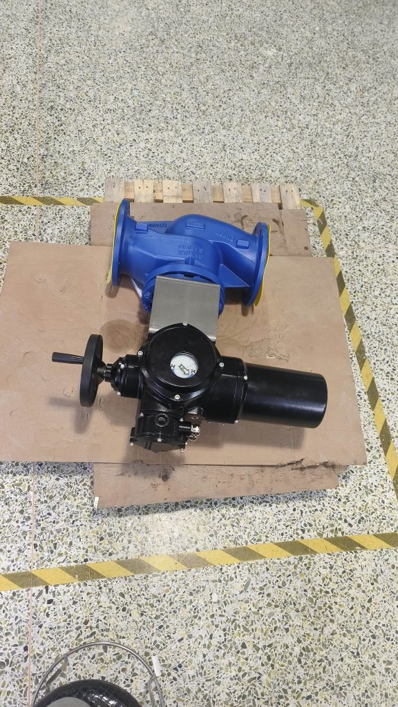 Electric Globe valve